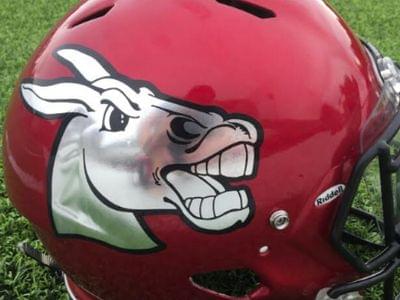 Image for: Central Missouri Mules