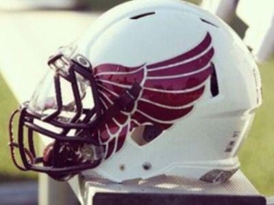 Image for: Fairmont State Fighting Falcons