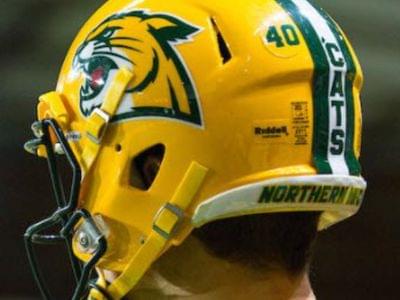 Image for: Northern Michigan Wildcats
