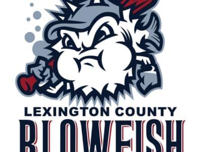 Image for: Lexington County Baseball Stadium (Lexington County Blowfish)