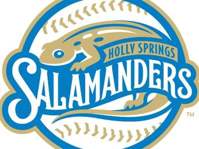 Image for: Holly Springs Ballpark (Holly Springs Salamanders)