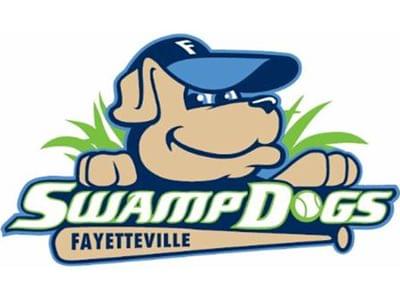 Image for: J.P. Riddle Stadium, aka The Swamp (Fayetteville SwampDogs)