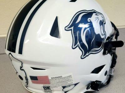 Image for: The College of New Jersey Lions
